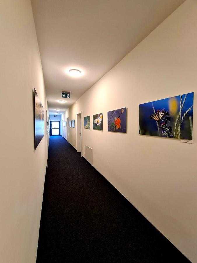 Hotel Roggen Erschmatt Exteriér fotografie